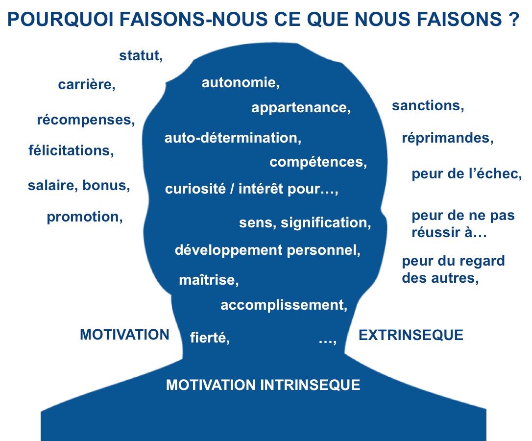 Pourquoi faisons-nous ce que nous faisons ?